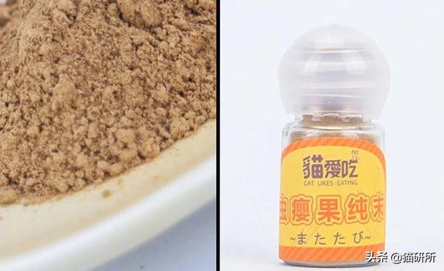 猫咪比较好的零食，提高猫咪生活质量