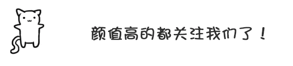 边牧，养边牧必须要知道的几件事