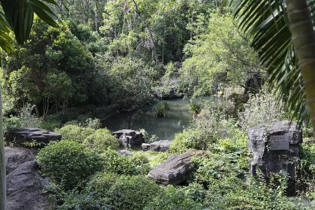 深圳十大山风景区，推荐10个非常值得一去的登山打卡点