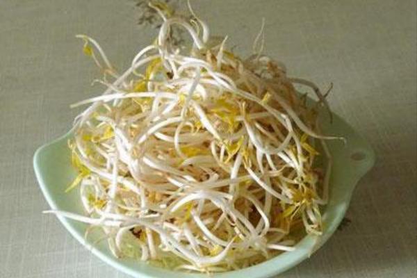 黄豆芽的做法大全，自己在家也可以生豆芽了（豆芽的做法大全黄豆芽）