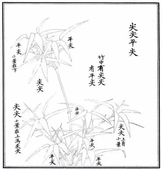 竹子漂亮简单画法，怎样画竹子最好看又简单