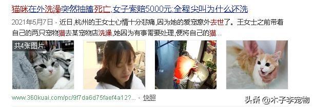 猫的应激反应会怎样，猫咪受到的危害有哪些