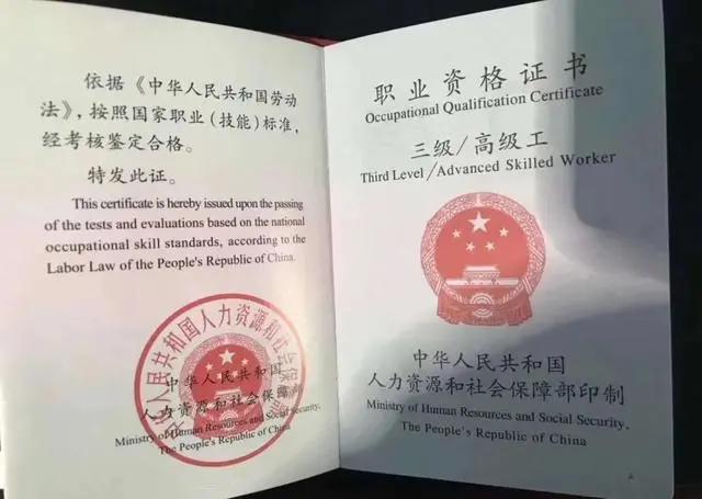 高级技师职业资格证书是指哪些证，拥有职业资格证书