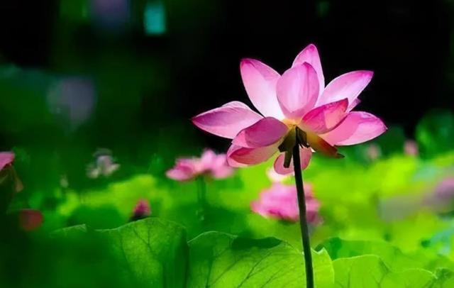 人生的高峰时期与低谷时期，决定了人生的格局