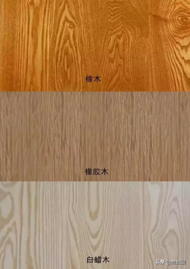 橡木相关知识，记得收藏这篇文章备用