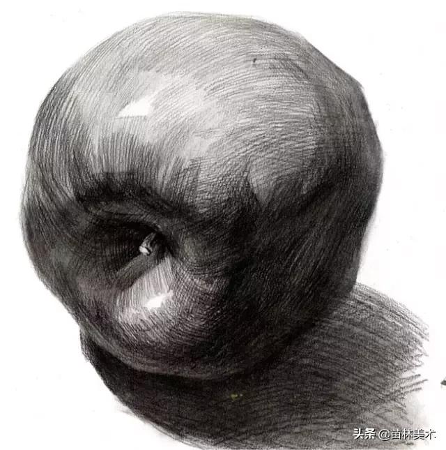 学画画零基础先学什么，零基础素描应该先练什么（零基础绘画教程，值得收藏）