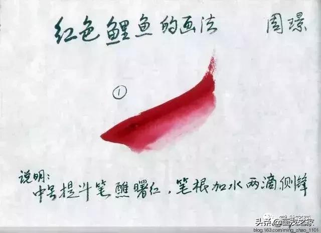 花鸟工笔画的基本步骤，工笔花鸟画法合集