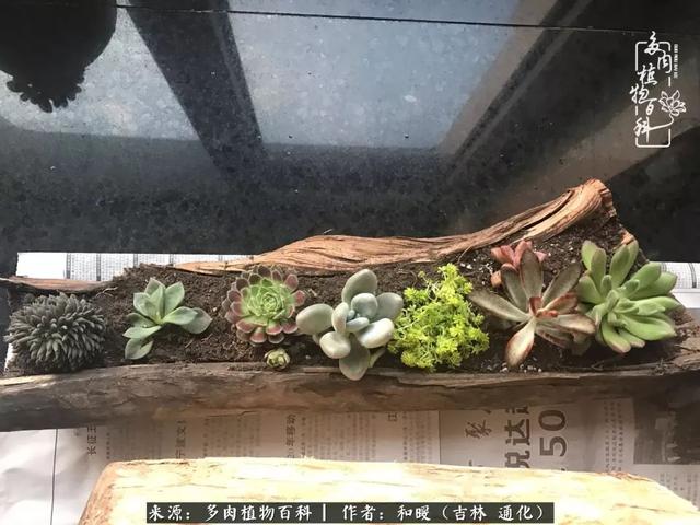 买肉，买肉的正确方法和注意事项