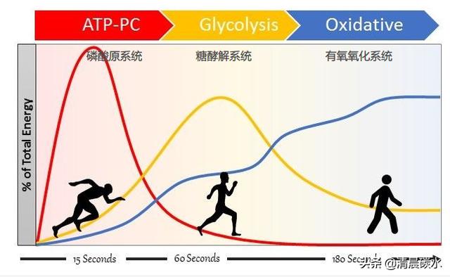 快速减脂有氧还是无氧，搞清楚有氧与无氧的代谢问题