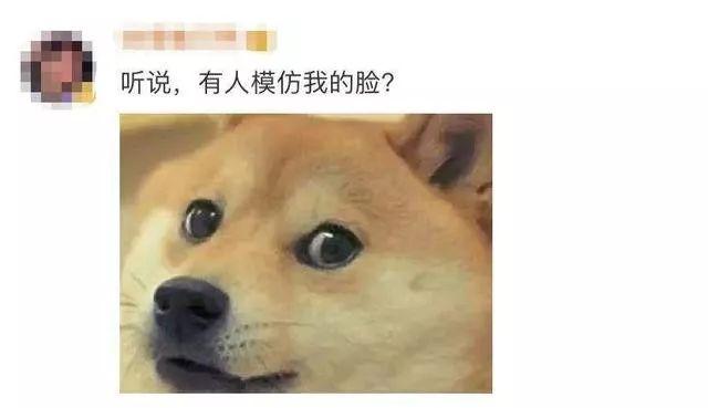 微信狗头表情包，微信怎么弄狗头表情包