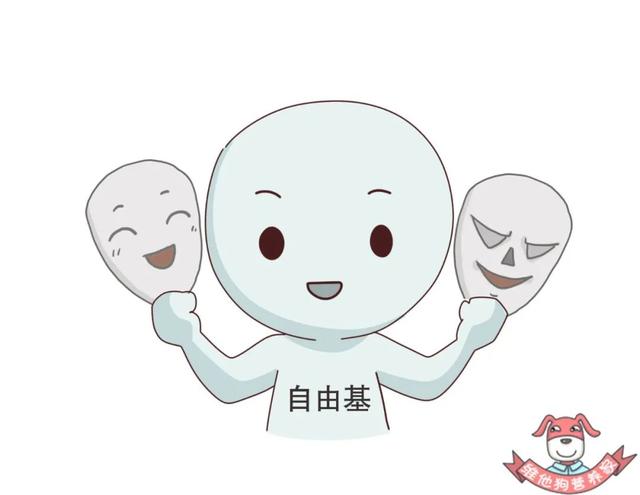 自由基抗氧化剂有什么，盘点若美欣等三大含富勒烯护肤品