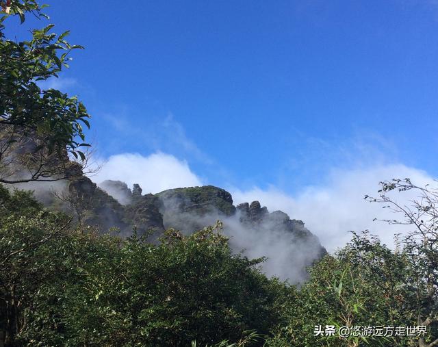 自然风光美的让人心醉，贵州梵净山自然风光