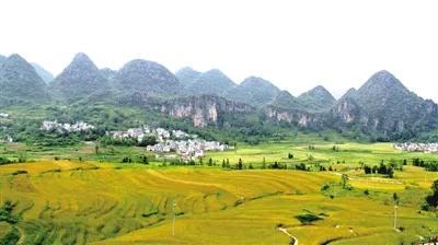 遇见最美的小镇，去针灸小镇赴一场玉兰之约~