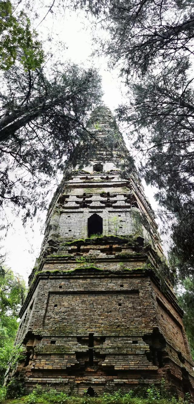 国清寺旅游攻略，国清寺旅游全攻略