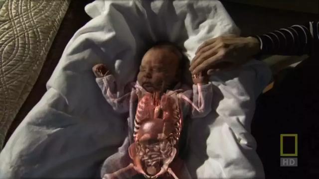 性教育的现状及其分析，但凡性教育的起点