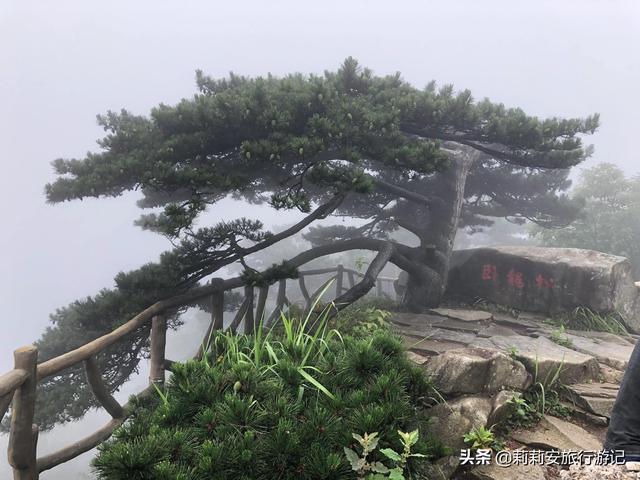 徒步南迦巴瓦峰最佳观景台，雾中徒步薄刀峰