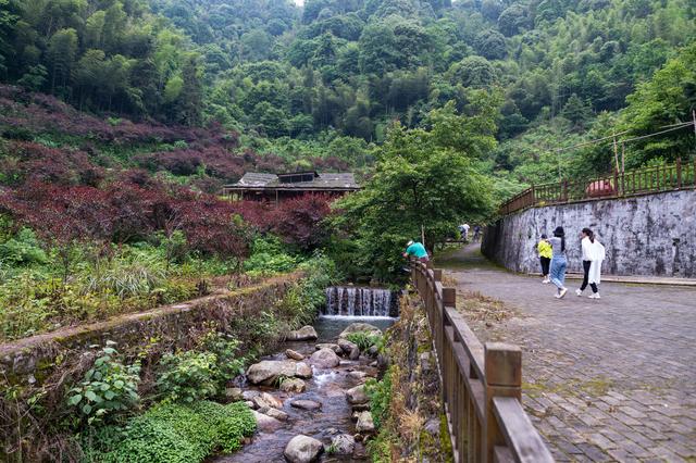 阳明山国家森林公园，阳明山国家森林公园开放时间