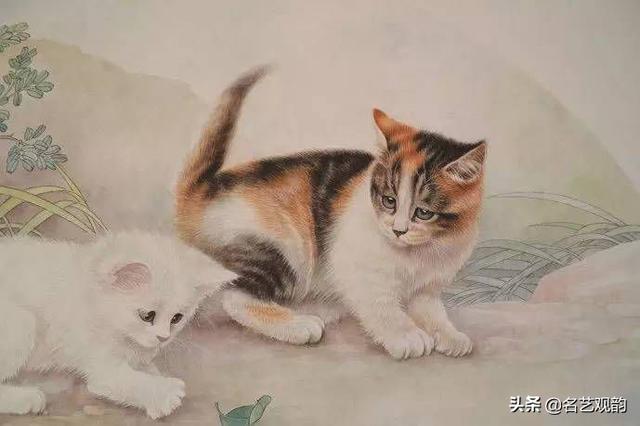 100种小猫怎么画，100种画真猫的画法（教你在纸上养个主子）