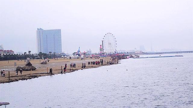 金山免费沙滩地点，周末清凉一“夏”奉贤碧海金沙和金山城市沙滩游玩攻略来啦