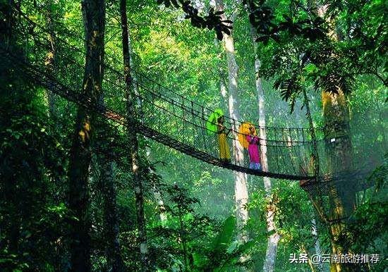 云南旅游最佳时间几月，去云南旅游的最佳时间是什么时候