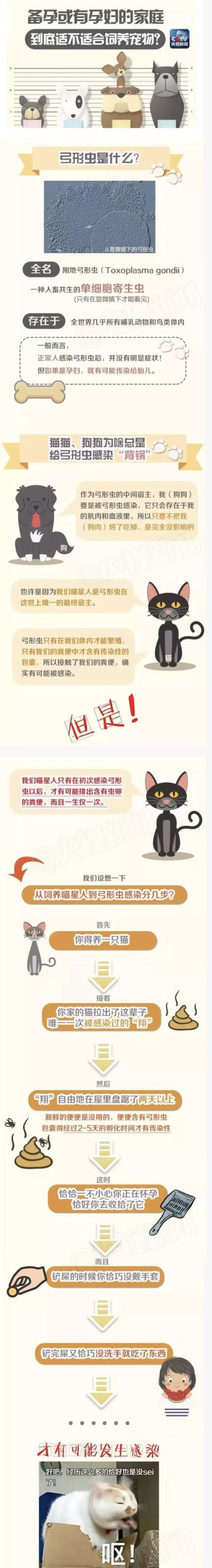 怀孕后就不能养猫了吗，这个黑锅猫主子不背