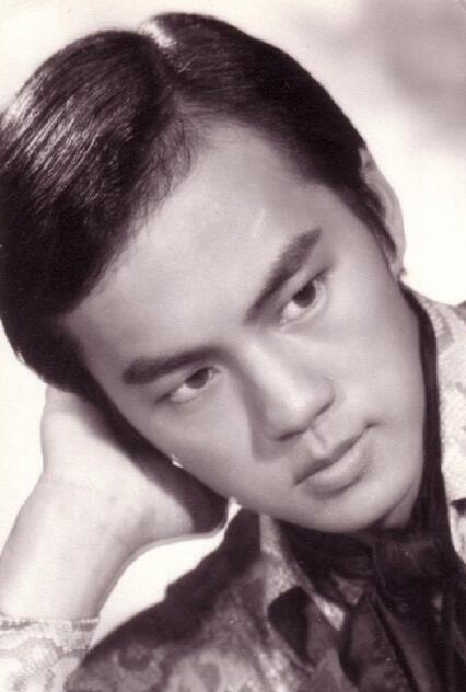 狄龙电影系列解说，狄龙新片800万制作成本