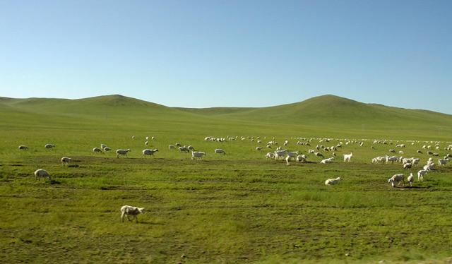 美国中部大平原，美国平原面积（你知道美国陆地海拔最高和最低的地方）