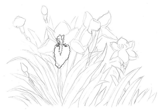 钢笔画入门基本步骤，钢笔画入门步骤详解