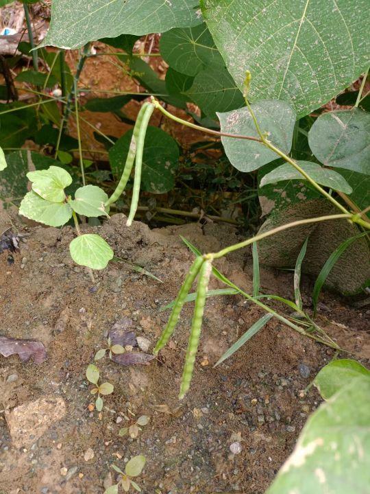 为什么很多人去印尼打工，记录印尼打工生活点滴