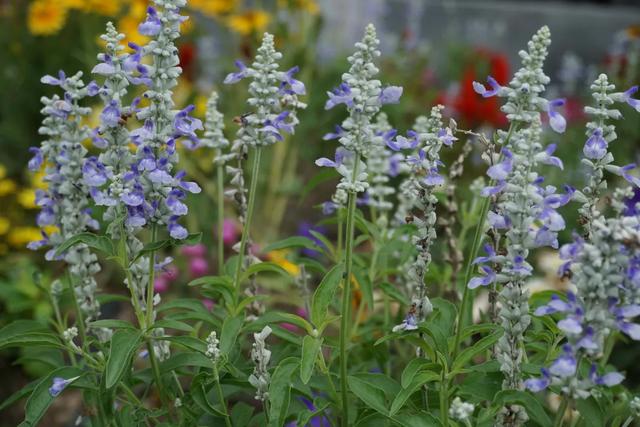 北京必玩景点排名，北京必玩的十个景点排名榜单（北京最值得去的12个景区）