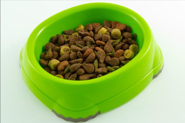 狗可以吃盐吗，狗不能吃盐这句话并无科学依据