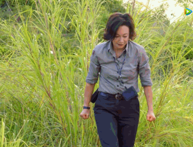 铁探惠英红结婚了吗，铁探的大结局线索