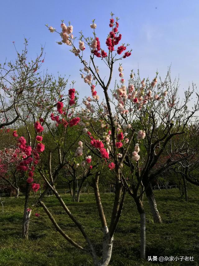 去厦门游玩攻略，厦门游玩超全攻略-玩嗨不要怪我哦