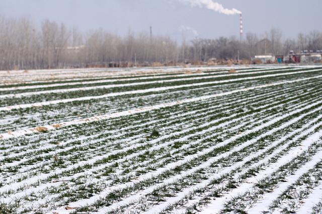 立冬下雪代表了什么，今日立冬有雪雪打冬有何预示