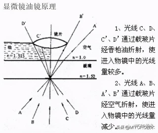 如何使用显微镜的油镜，如何使用并维护显微镜油镜