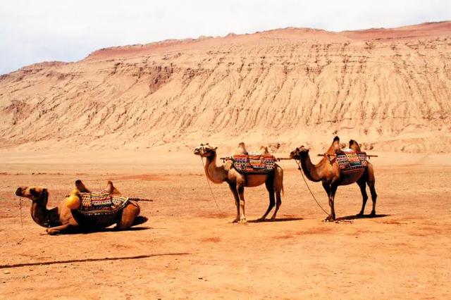 唐三藏去过多少国家，唐僧取经路过13个国家