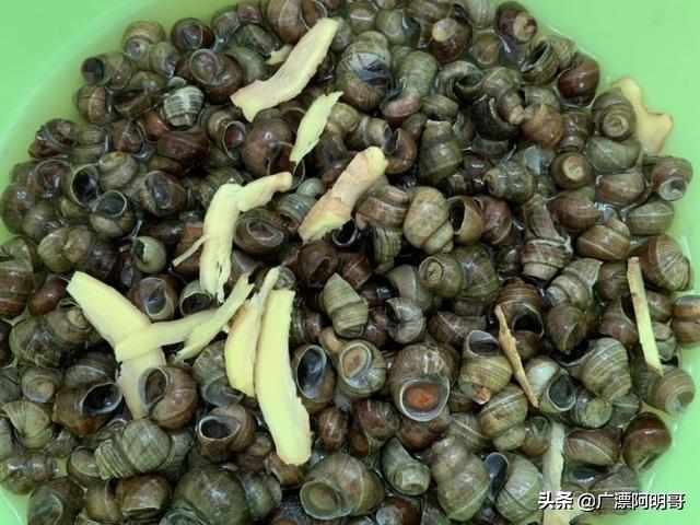 嗦螺，正宗湘味嗦螺做法