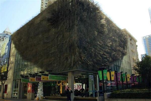 上海动漫博物馆，上海哪些博物馆值得去（没去过这几家动漫博物馆）