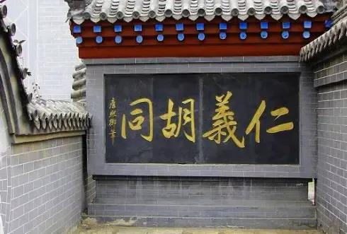 未见当年秦始皇典故，一棵大树挡去路