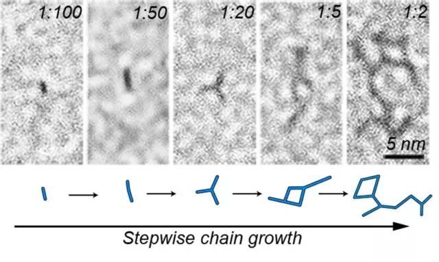 纳米碳酸钙是什么东西，浙大学者最新发现
