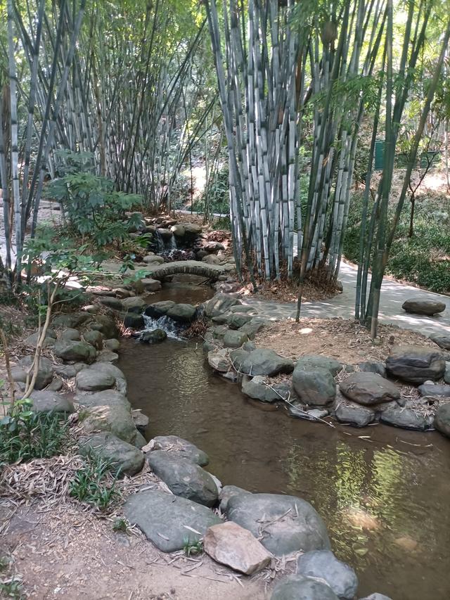 长沙市内十大公园，长沙本地人告诉你这10个地方不能少