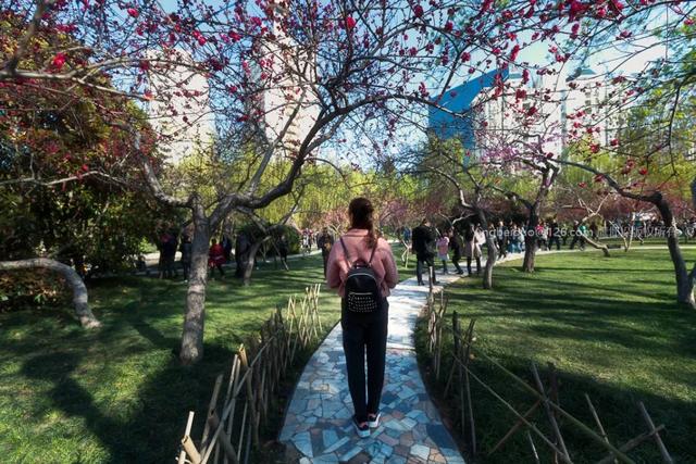 郑州周边免费景点，郑州最近免费旅游景点大全（不出郑州的8个赏花遛娃地）