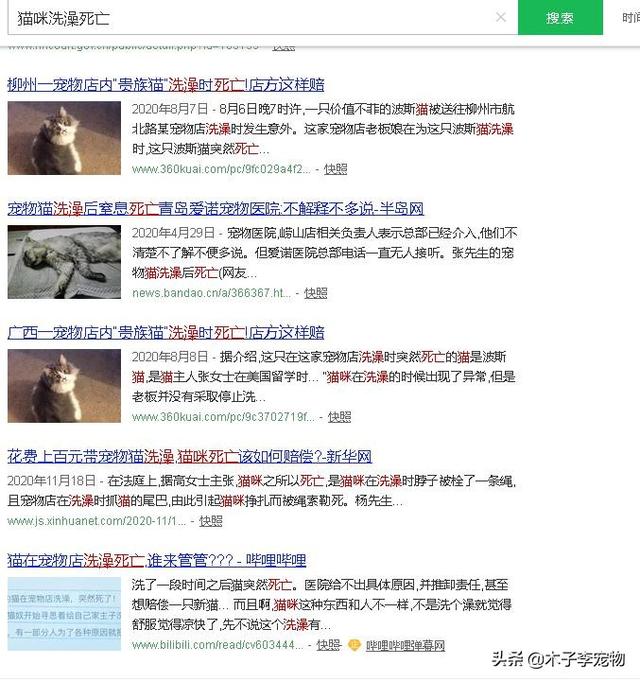 猫的应激反应会怎样，猫咪受到的危害有哪些
