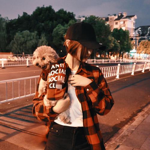 养泰迪的技巧，泰迪饲养的六个方面