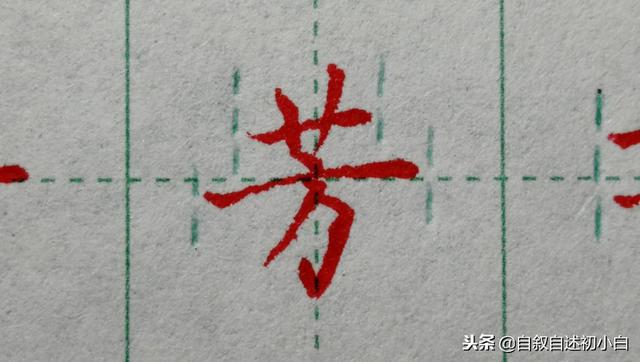草字头加长怎么读，草书练字教程米字格（<二>艹、屮、艸、芔、茻）