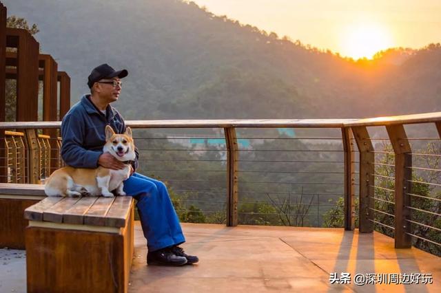 深圳 十佳绿道，深圳最美绿道-龙华区环城绿道羊台山段