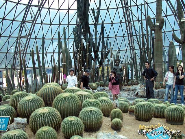 鹏城是哪个城市，深圳有几个城市叫鹏城（深圳有大鹏半岛）