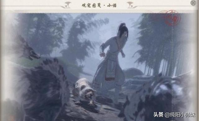 剑网三宠物游历图鉴，剑网3版旅行的青蛙