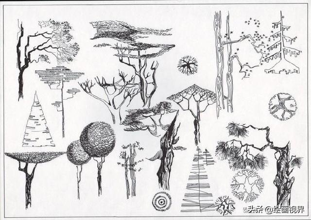 超级简单的植物线描图怎么画，手绘植物很难画