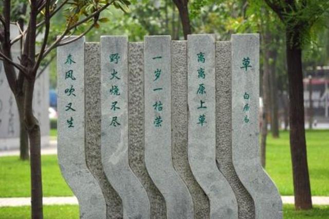 唐城墙遗址公园，西安大唐城遗址公园（西安这5个公园你还没去）